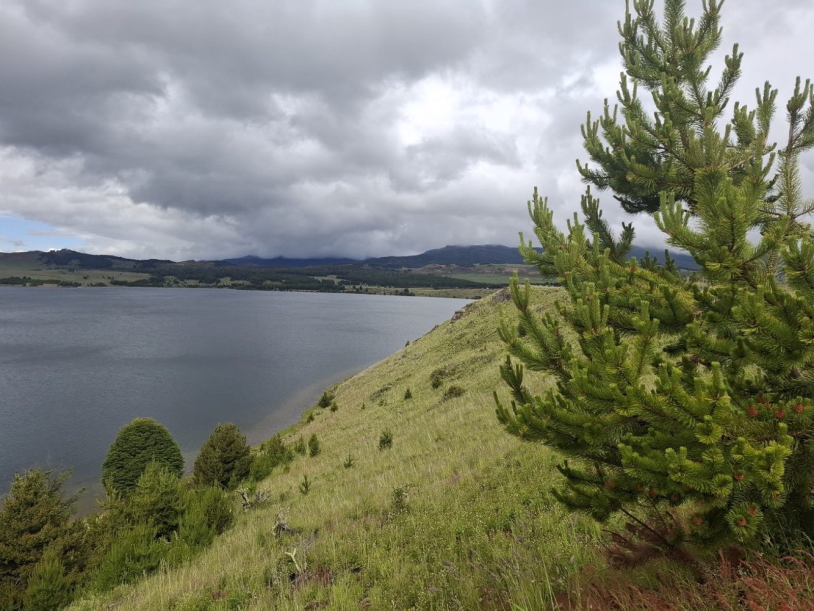 Parcela a orilla de lago en la Región de Aysén, Patagonia
