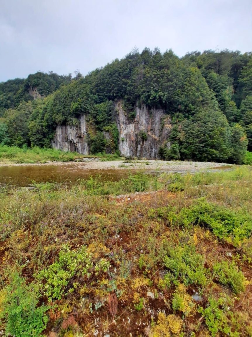 5 ha de terreno, sector Murta, Río Ibáñez