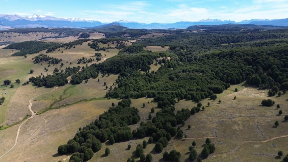 Parcela 0,5 ha en Cerro Galera, Coyhaique